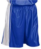 Teamwork Adult/Youth Dazzle Basketball Shorts Teamwork Adult/Youth Dazzle Basketball Shorts