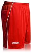 Sarson Prague Soccer Shorts