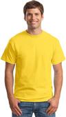 Hanes Adult Beefy-T Born To Be Worn T-Shirts