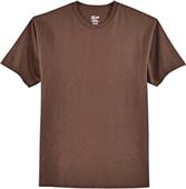 Hanes Adult Tagless 100% Cotton T-Shirts