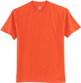 Hanes Adult Tagless 100% Cotton T-Shirts