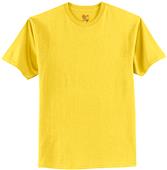 Hanes Adult Tagless 100% Cotton T-Shirts