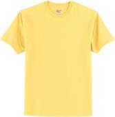 Hanes Adult Tagless 100% Cotton T-Shirts