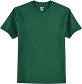 Hanes Adult Tagless 100% Cotton T-Shirts