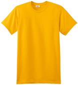 Hanes Adult Nano-T Cotton T-Shirts