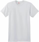 Hanes Adult Nano-T Cotton T-Shirts