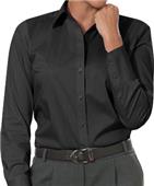 Calvin Klein Ladies Cotton Stretch Button Up Shirt Calvin Klein Ladies Cotton Stretch Button Up Shirt