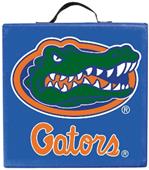COLLEGIATE Florida Gators Seat Cushion COLLEGIATE Florida Gators Seat Cushion