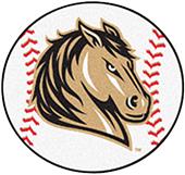 Fan Mats Southwest Minnesota State Baseball Mat Fan Mats Southwest Minnesota State Baseball Mat