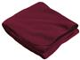 Holloway 50" x 60" Stadium Fleece Blanket