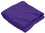 Holloway 50" x 60" Stadium Fleece Blanket