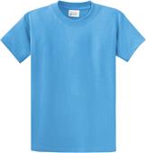 Port & Company Essential T-Shirt