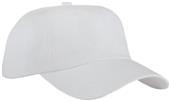Port Authority Adult Brushed Twill Cap
