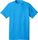 Port & Company 100% Cotton T-Shirt