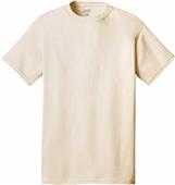 Port & Company 100% Cotton T-Shirt