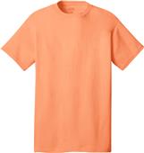 Port & Company 100% Cotton T-Shirt