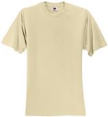 Fruit of the Loom 100% Heavy Cotton HD T-Shirt