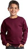 Port & Company Youth Crewneck Sweatshirt