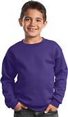 Port & Company Youth Crewneck Sweatshirt