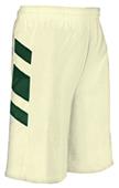Champro Performance Basketball Shorts-Closeout