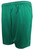 Alleson Mesh 5" Inseam Athletic Shorts-Closeout Alleson Mesh 5" Inseam Athletic Shorts-Closeout