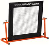 Sportworx AllBall Pro JV 4' x 4'