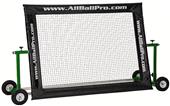 Sportworx AllBall Pro Premier XL 5' x 7'