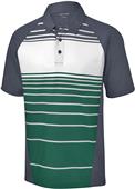 Sport-Tek Adult Dry Zone Sublimated Stripe Polo
