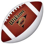 Wilson NCAA Official 3-Panel Autograph Footballs