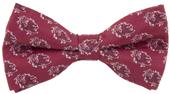 Eagles Wings NCAA South Carolina Bowtie