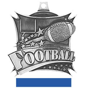 SILVER MEDAL/BLUE RIBBON