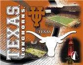 Holland University of Texas Printed Canvas Art