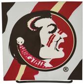 Illumasport Florida State Light Up Car Sticker