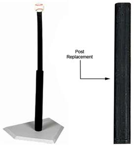POST REPLACEMENT