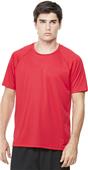 Alo Sport Mens Performance Short Sleeve Raglan Tee Alo Sport Mens Performance Short Sleeve Raglan Tee