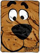 Northwest Scooby Doo Close Micro Raschel Throw