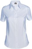 Big Bang Womens Short Sleeve Zodiac Oxford Shirts Big Bang Womens Short Sleeve Zodiac Oxford Shirts