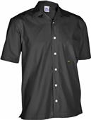 Big Bang Mens Maui Poplin Camp Shirts Big Bang Mens Maui Poplin Camp Shirts