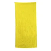 Carmel Towel Company Classic Beach Towel C3060