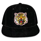 W Republic Velvet Snapback Cap Grambling State Tigers 1024-170