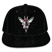 W Republic Velvet Snapback Cap Lynchburg Hornets 1024-179