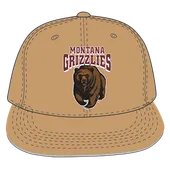 W Republic Velvet Snapback Cap Montana Grizzlies 1024-191