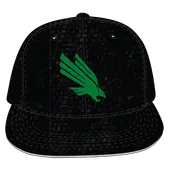 W Republic Velvet Snapback Cap North Texas Mean Green 1024-195