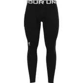 Under Armour Men's ColdGear Armour Leggings 1366075