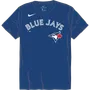 Nike MLB Adult/Youth Short Sleeve Cotton Tee N199 / NY28 TORONTO BLUE JAYS