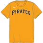 Nike MLB Adult/Youth Short Sleeve Dri-Fit Crew Neck Tee N223 / NY23 PITTSBURGH PIRATES