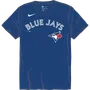 Nike MLB Adult/Youth Short Sleeve Dri-Fit Crew Neck Tee N223 / NY23 TORONTO BLUE JAYS