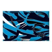 Fan Mats Carolina Panthers Rubber Scraper Door Mat Xfit Design