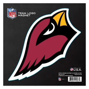 FANMATS Arizona Cardinals All-Star Rug - 34 in. x 42.5 in.