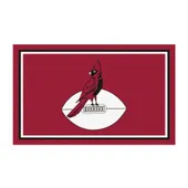 Fan Mats Arizona Cardinals 3Ft. X 5Ft. Plush Area Rug